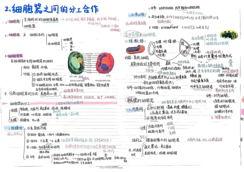 刘昕3.png