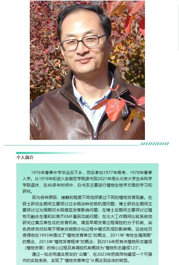 screenshot-1709459751696.png
